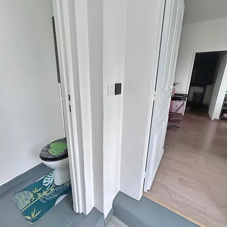 Maison Duplex Climatisee Balneo * トゥールーズ